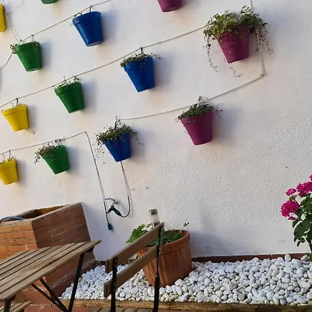 Гостьовий будинок Arc House Only Adults