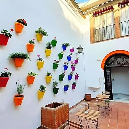 Affittacamere Arc House Only Adults 2*