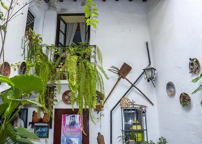 Arc House Only Adults Гостевой дом 2*