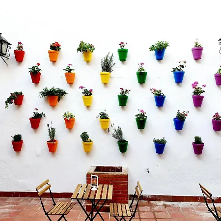 Arc House Only Adults Gasthof