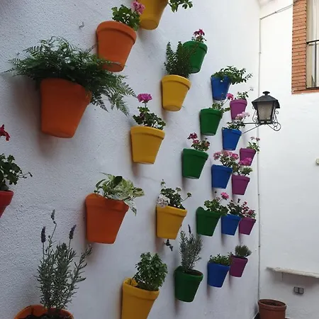 Arc House Only Adults Córdoba