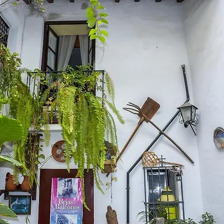 Arc House Only Adults Gasthof *