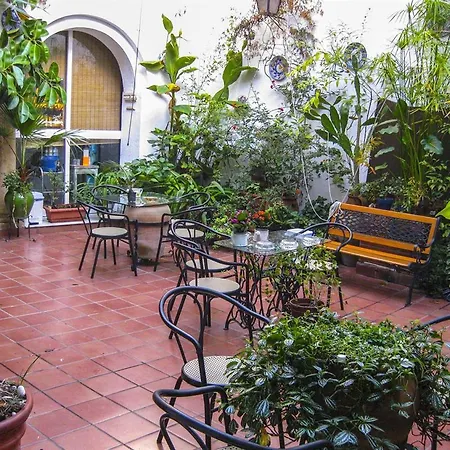 Arc House Only Adults Gasthof