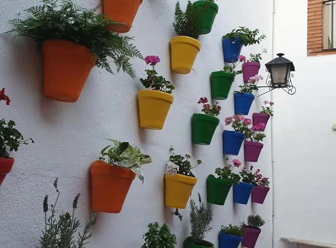 Arc House Only Adults Cordoba